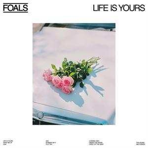 CD Foals: Life Is Yours