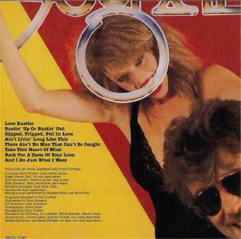 CD Foghat: In The Mood For Something Rude