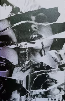 Forever Grey: Sympathy Garden