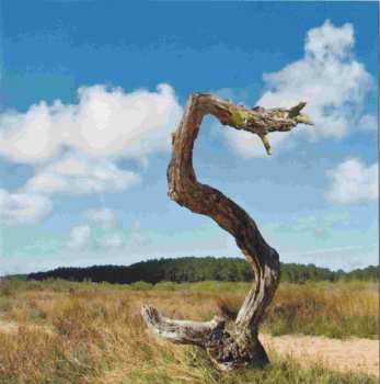 CD/DVD Forgas Band Phenomena: Acte V