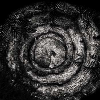 CD Forhist: Forhist LTD | DIGI