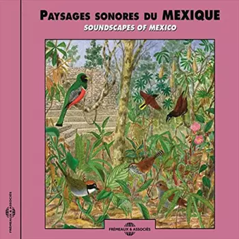 Soundscapes Of Mexico