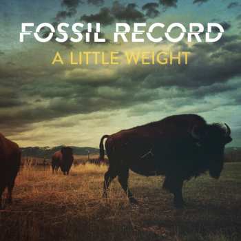 CD Fossil Record: A Little Weight