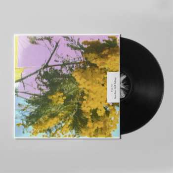 LP Four Tet: Into Dust (Still Falling)