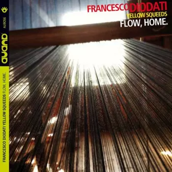 Francesco Diodati: Flow, Home.