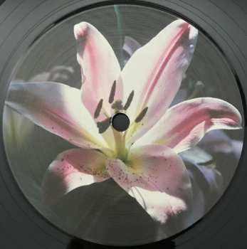 LP Francis Harris: Trivial Occupations Remixes