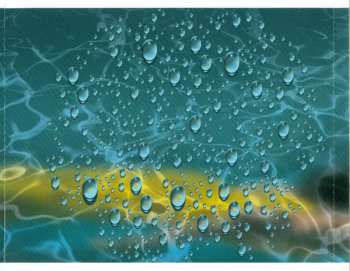 CD Franco Ambrosetti: Liquid Gardens