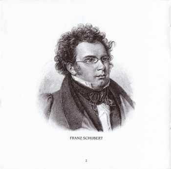 2CD Franz Schubert: Complete Works For Violin And Piano