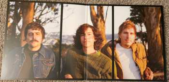 LP French Cassettes: Benzene CLR | LTD