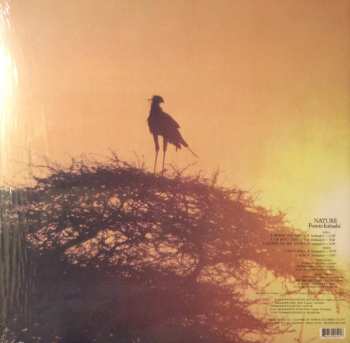 LP Fumio Itabashi: Nature LTD