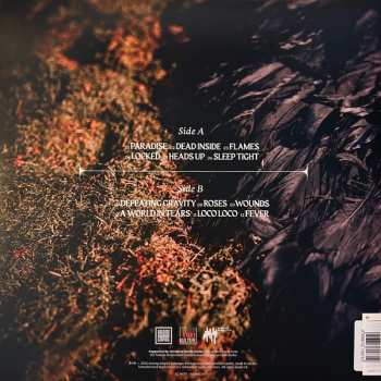 LP Future Palace: Run CLR | LTD