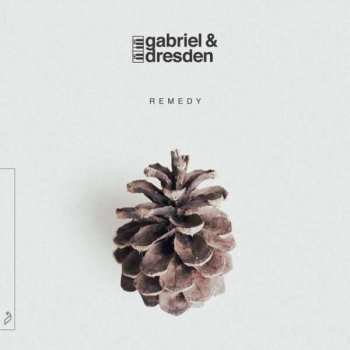 2LP Gabriel & Dresden: Remedy