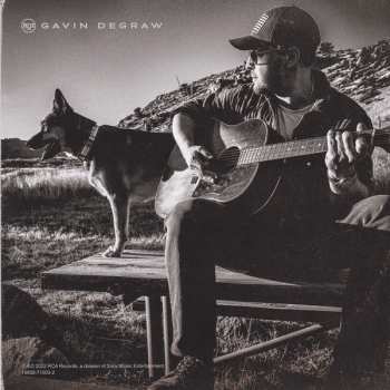 CD Gavin DeGraw: Face The River