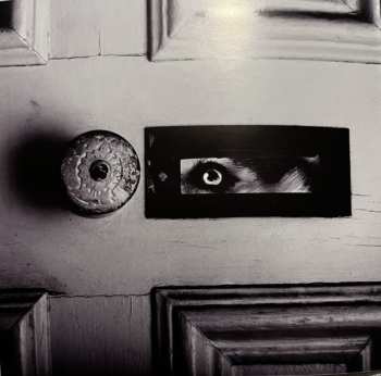 CD Gay Paris: The Skeleton's Problematic Granddaughter