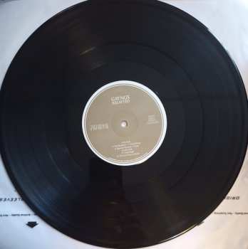 2LP Gayngs: Relayted