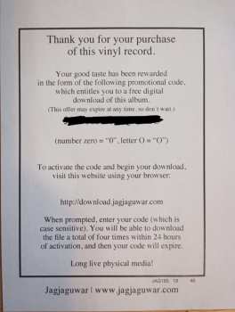 2LP Gayngs: Relayted