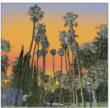 LP Gecko Turner: Somebody From Badajoz CLR | LTD