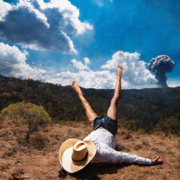 Album Geese: 3D Country