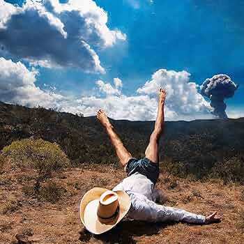 CD Geese: 3D Country