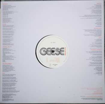 LP Geese: Projector