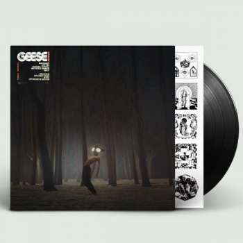 LP Geese: Projector