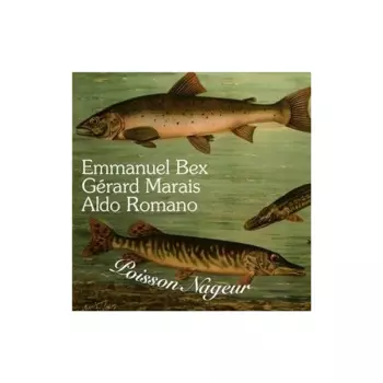 Poisson Nageur