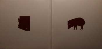 CD Giant Sand: Purge & Slouch