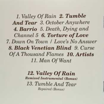 CD Giant Sand: Valley Of Rain