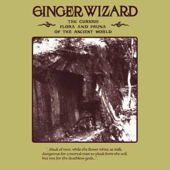 Album Ginger Wizard: Curious Flora & Fauna Of The Ancient World