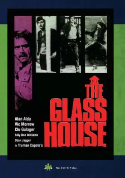 The Best Of Glass House