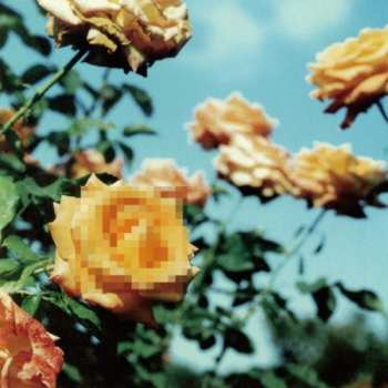 Album Globe: Relations