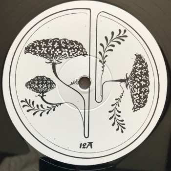LP/EP Godspeed You! Black Emperor: G_d's Pee AT STATE'S END!
