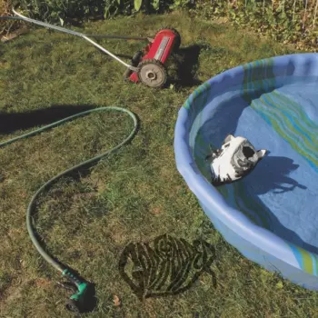 Lie Down // Children Are Our Future EP