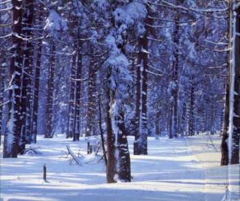 CD Goldfrapp: Felt Mountain