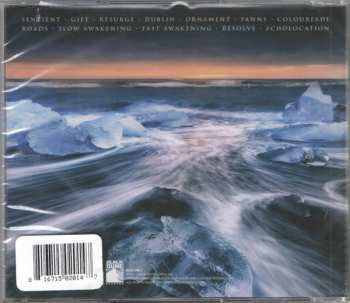 CD Gone Is Gone: Echolocation