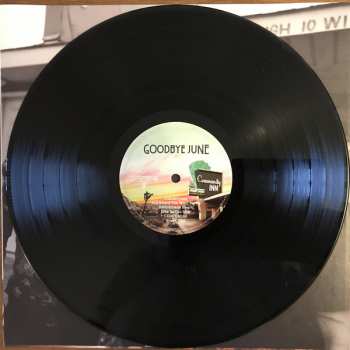 LP Goodbye June: Community Inn