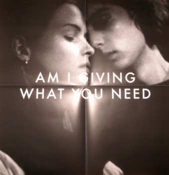LP Goose: What You Need
