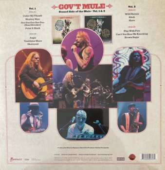 2LP Gov't Mule: Stoned Side Of The Mule - Vol.1 & 2 CLR