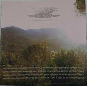 LP Grace Potter: Daylight