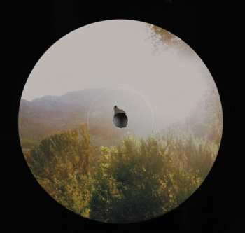 LP Grace Potter: Daylight