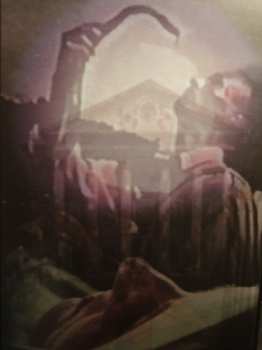 DVD Grails: Acid Rain