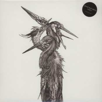 LP Grand Blue Heron: Hatch