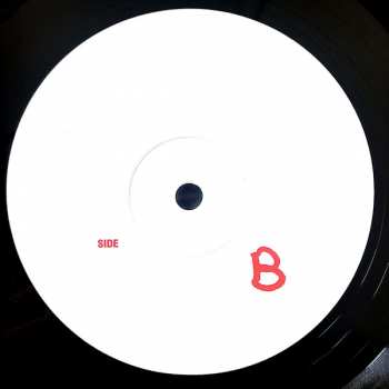 LP Grand Picture Palace: Grand Picture Palace LTD