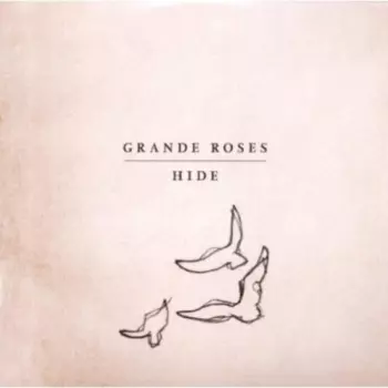 Hide