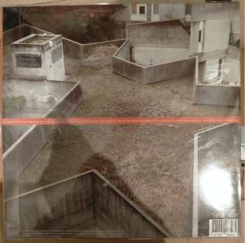 LP Green Buzzard: Amidst The Clutter & Mess CLR