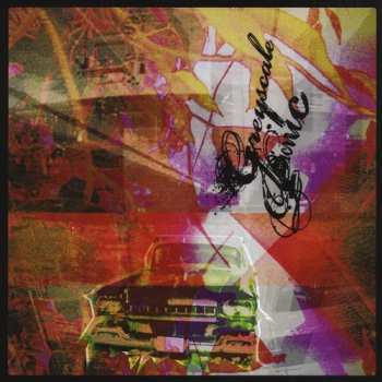 CD Greyscale Picnic: Panic In The Mosaic Era