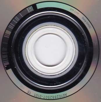 CD Grizzly Bear: Painted Ruins