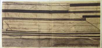 2LP Grizzly Bear: Shields