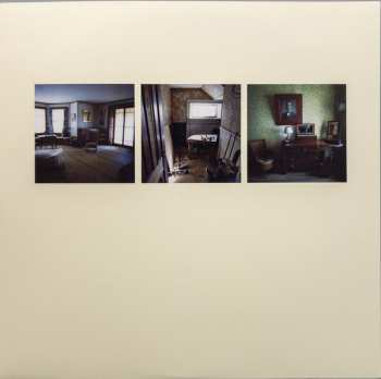 2LP Grizzly Bear: Yellow House LTD | CLR