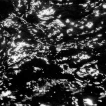 Album Grouper: A I A : Dream Loss